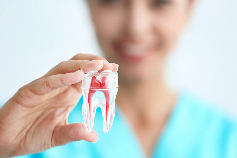 Root Canal Therapy Etobicoke | Lakeshore Dental